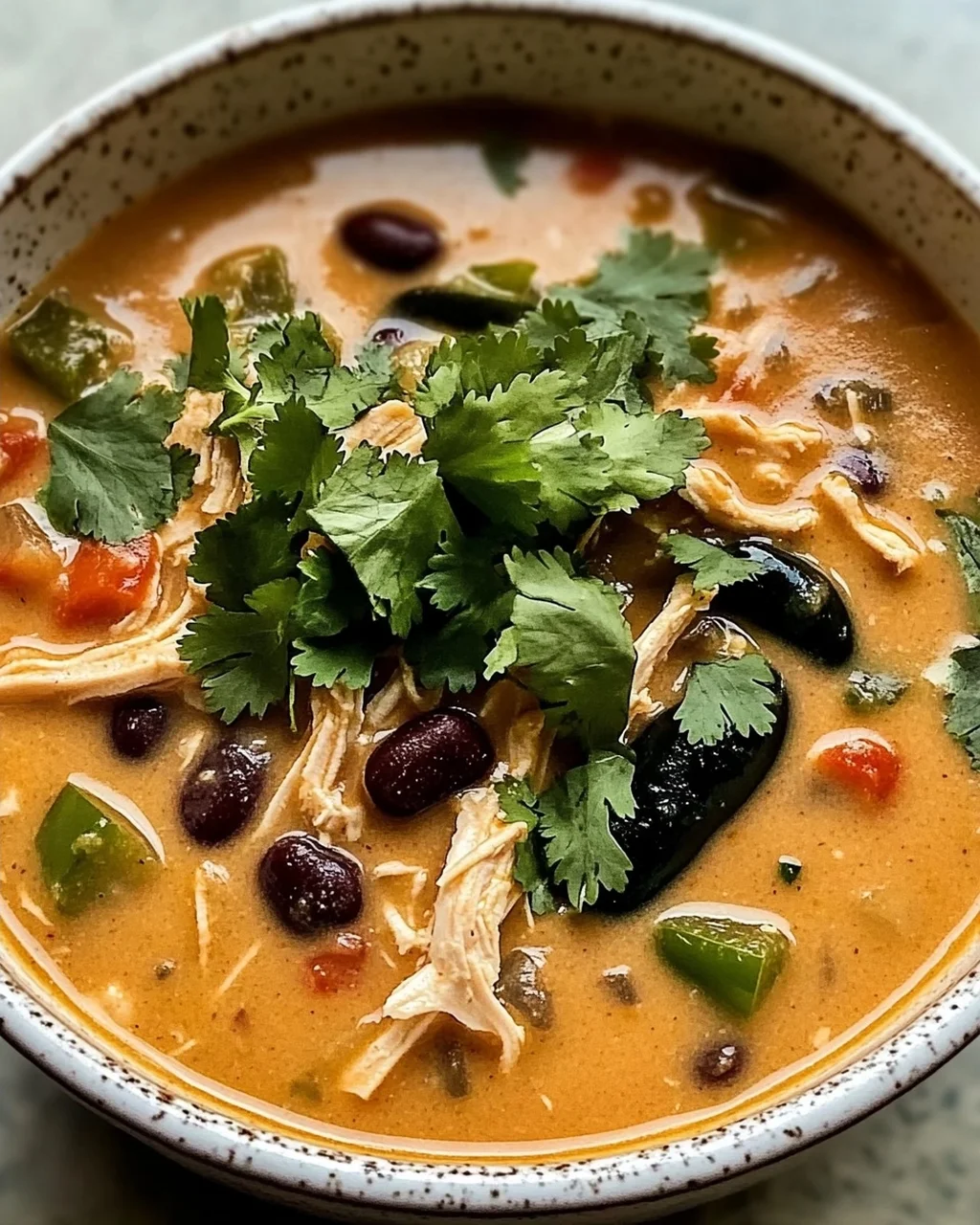 Einfache Hähnchen-, Poblano- und schwarze Bohnensuppe